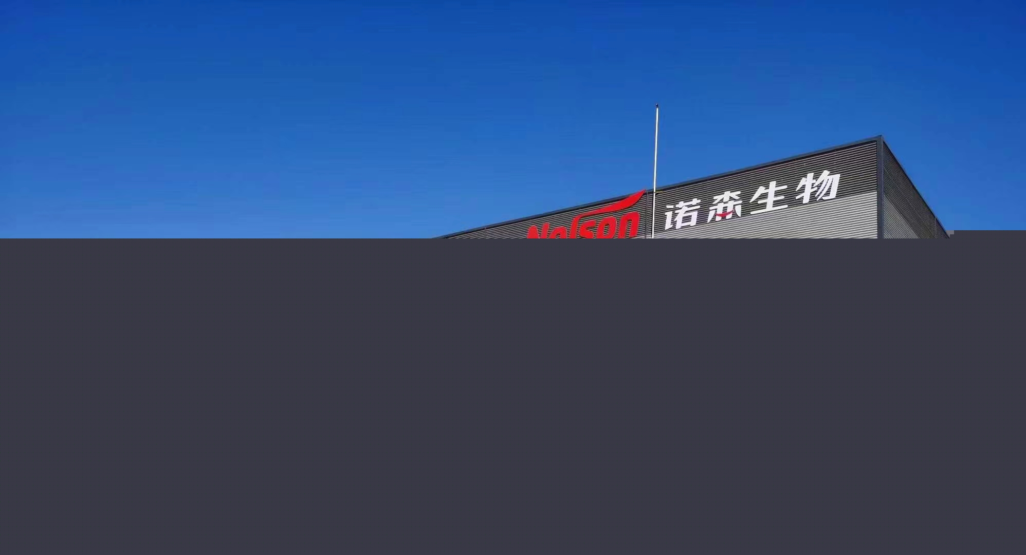益生菌代加工