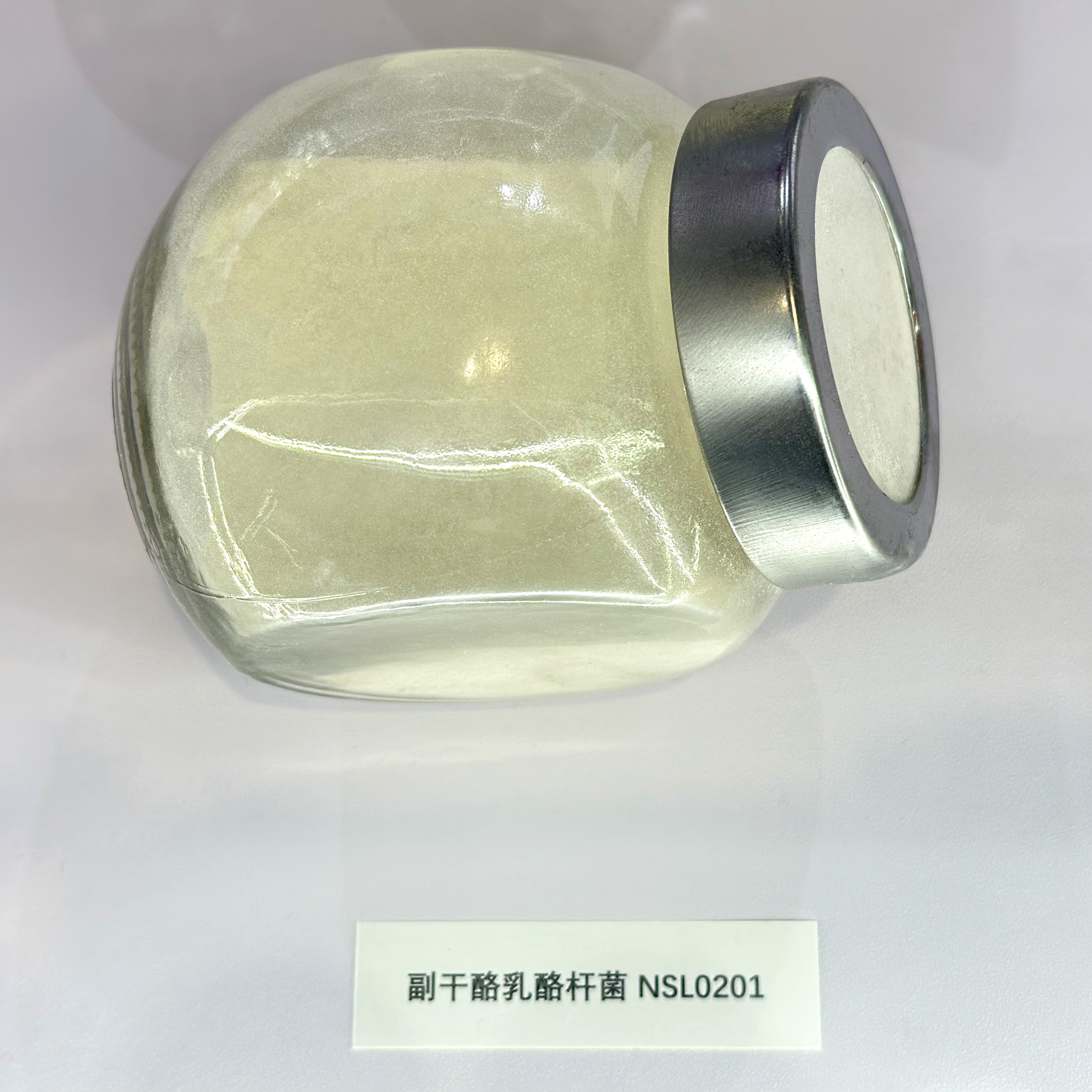 副干酪乳桿菌NSL0201