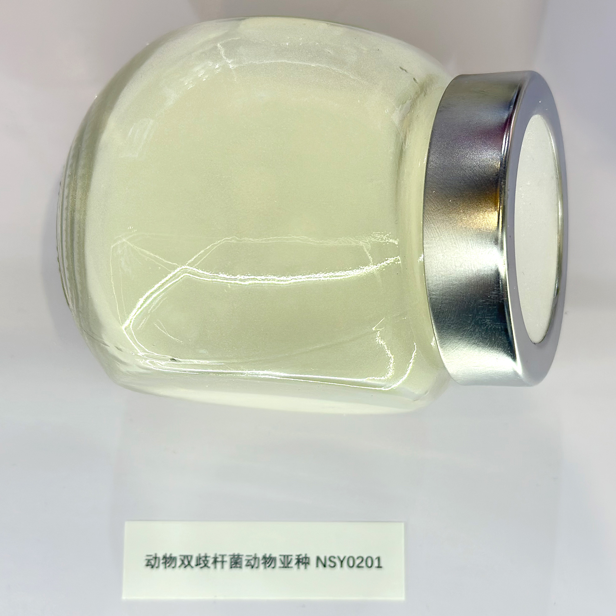 動(dòng)物雙歧桿菌NSY0201